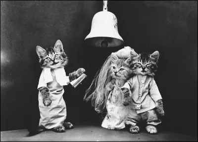 Il n'y a pas de quoi fouetter un chat !