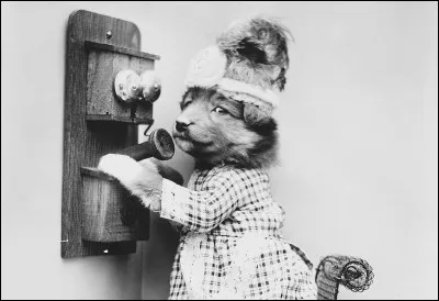 Arriver comme un chien dans un jeu de quilles !