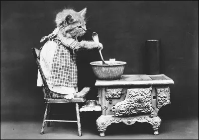 Coûter le lard du chat !