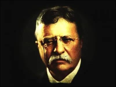 Les "Teddy bears" sont appelés ainsi car leurs créateurs se sont inspirés de l'ancien président Theodore "Teddy" Roosevelt qui, un jour, avait refusé de tirer sur un ourson.