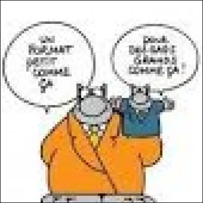 Quel âge a le chat de Geluck ?