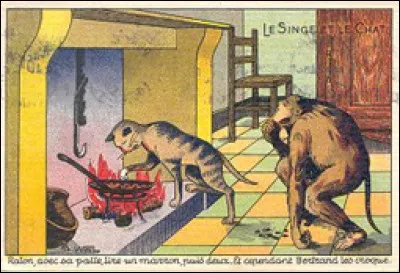 "Le singe et le chat" est une fable de La Fontaine. Quels étaient les noms des deux animaux ?