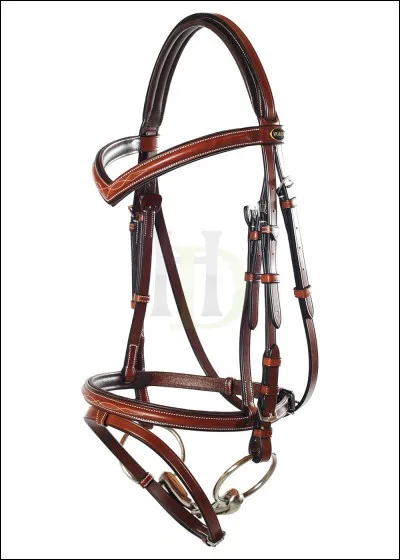 Vrai ou faux ? 
L'objet de l'image ci-dessous représente un filet.