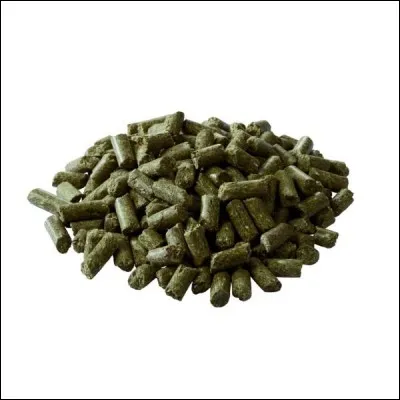 Lequel de ces aliments le cheval ne mange-t-il pas ?