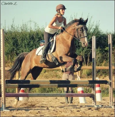 Vrai ou faux ? 
Un cheval peut sauter 1 mètre.