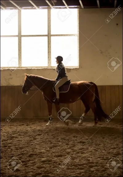 Où se déroulent les cours d'équitation ?