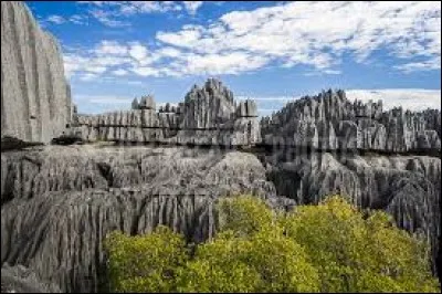 Dans quel pays se situe la réserve naturelle intégrale du Tsingy de Bemaraha ?