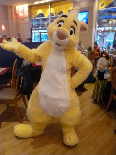 Oui bonjour ; donc moi je pense que la Forêt des rêves bleus est le meilleur endroit chez Disney. Qui parle?