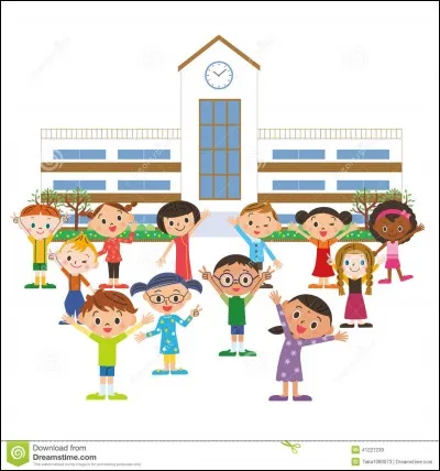 Quel pourcentage de la population est alphabétisée ?