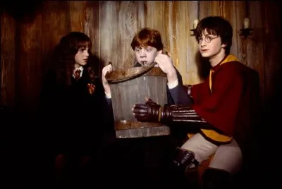 Hermione met un cheveu en pensant que c'est celui d'une élève de Serpentard, mais ce n'est pas le cas, en quoi se transforme-t-elle ?