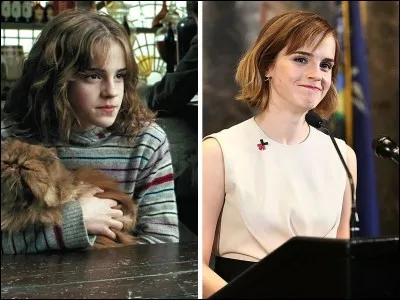 Que lui donne le professeur McGonagall pour qu'elle puisse suivre tous ses cours ?