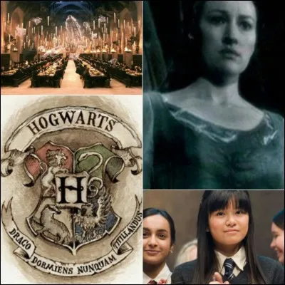 Où est le diadème de Serdaigle, selon la Dame grise ?