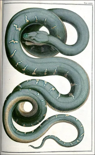 Qu'arrive-t-il à Nick-Quasi-Sans-Tête dans le tome 2 ?