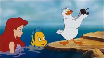 Quel est le nom de la mouette dans "La Petite "?