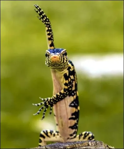 Expression populaire relaxante !