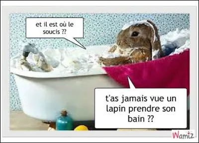 Doit-on laver les lapins ?