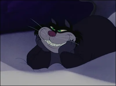 Comment s'appelle le chat ?