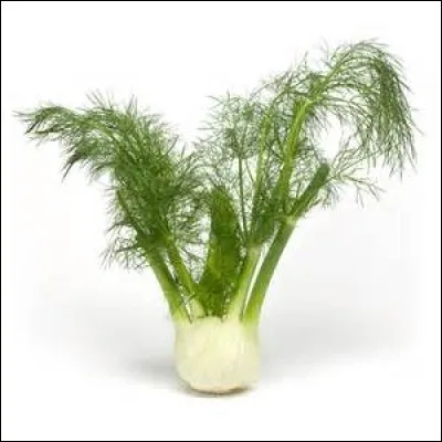 Quel est ce légume ?