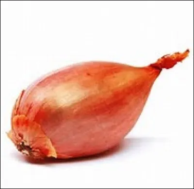 Quel est ce légume ?