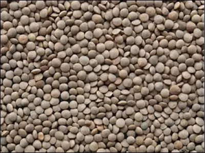 Quel est le nom de ce légume ?