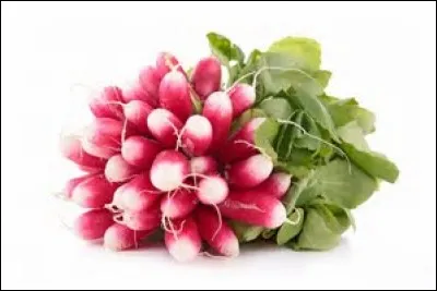 Quel est le nom de ce légume ?