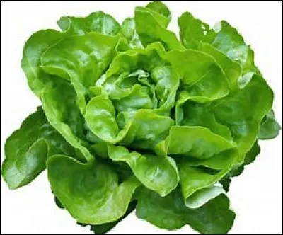 Quel est le nom de ce légume ?