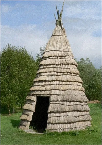 Comment est appelée cette hutte de bûcherons typique et traditionnelle de forme conique construite avec des perches d'environ 4,50 m et que l'on peut encore voir aujourd'hui en forêt d'Eu ?
