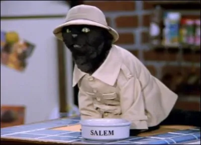 Dans quelle série peut-on voir Salem, un chat noir qui parle ?