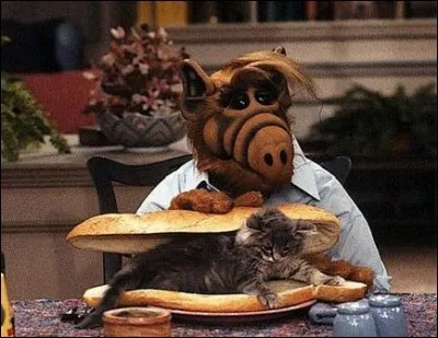 Quel est le nom de cette série ?