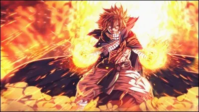 Natsu est un :