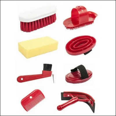 Quelle brosse faut-il passer en premier ?