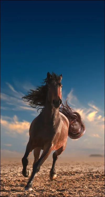 Quelle réponse ne fait pas partie du filet ?