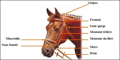 Quel est cet objet ?