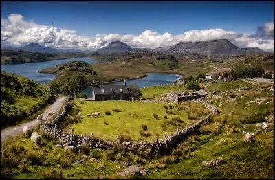 Le haggis est un plat traditionnel fait de panse de brebis farcie. D'où ce plat provient-il ?