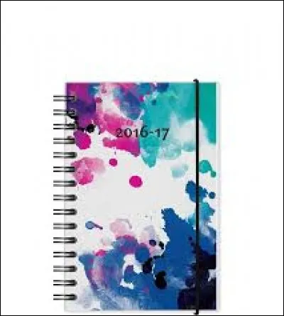 Tu as besoin d'un agenda, prends-tu celui-ci à 6 euros ?