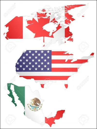 Qui a découvert l'Amérique ?