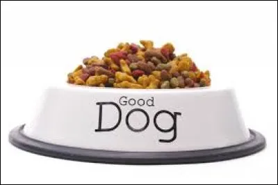 Que ne faut-il jamais donner à manger aux chiens ?