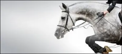 De quel côté faut-il monter sur son cheval ?