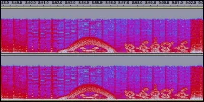 Qui est ce Creepypasta qui cause des crises d'angoisses, de saignements d'oreilles sur une musique de Pokémon vert sur Game Boy.