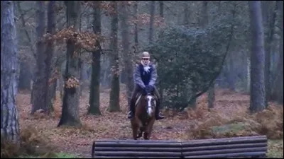 Le cross est une discipline particulière du CSO.