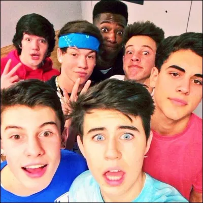 Comment s'appelle le groupe dont il fait partie ?