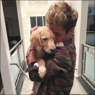 Comment s'appellent-ils ?