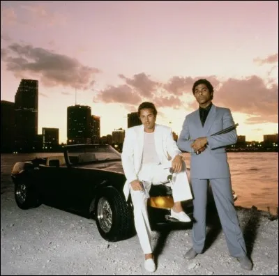 Qui l'eut cru, elle fait une apparition dans "Deux Flics à Miami" !