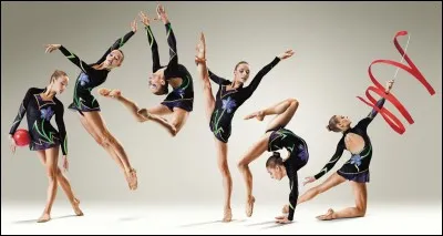 Comment appelle-t-on la tenue des gymnastes ?