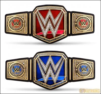 Retour gagnant avec le titre majeur :