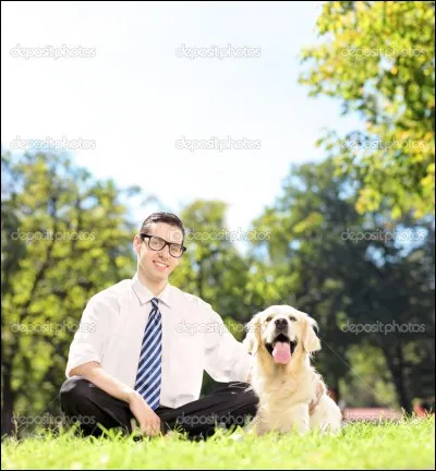Comment un chien réagit-il lorsqu'on se met à courir devant lui ?