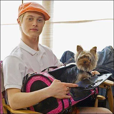 A qui appartient ce chien ?