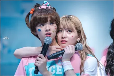 Quel surnom donnaient les membres à Momo et Jeongyeon ?