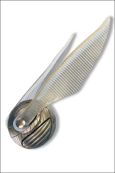 Quel est cet objet ?