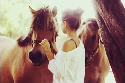 En France, il y a neuf galops, mais au Québec, combien y a-t-il de cavaliers (même chose que galops) en Western ?